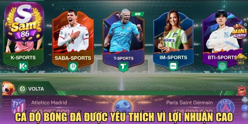 Cá độ bóng đá được yêu thích vì lợi nhuận cao Cá độ bóng đá được yêu thích vì lợi nhuận cao