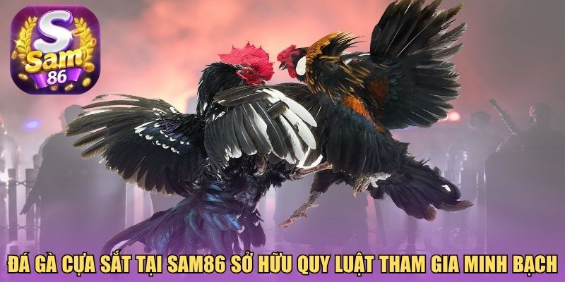 Đá gà cựa sắt tại Sam86 sở hữu quy luật tham gia minh bạch Đá gà cựa sắt tại Sam86 sở hữu quy luật tham gia minh bạch