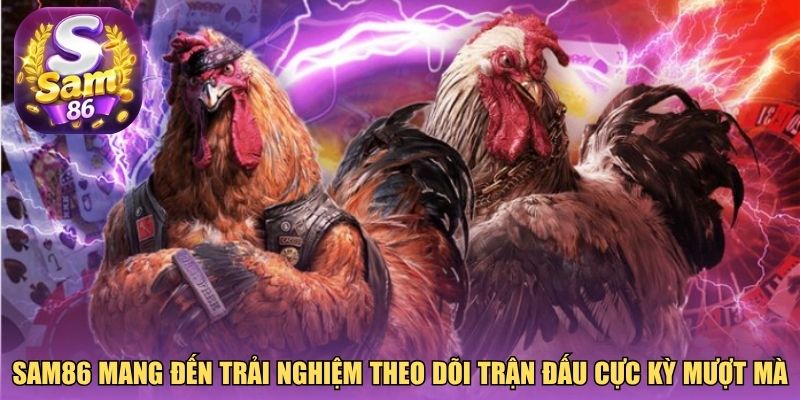 Sam86 mang đến trải nghiệm theo dõi trận đấu cực kỳ mượt mà Sam86 mang đến trải nghiệm theo dõi trận đấu cực kỳ mượt mà
